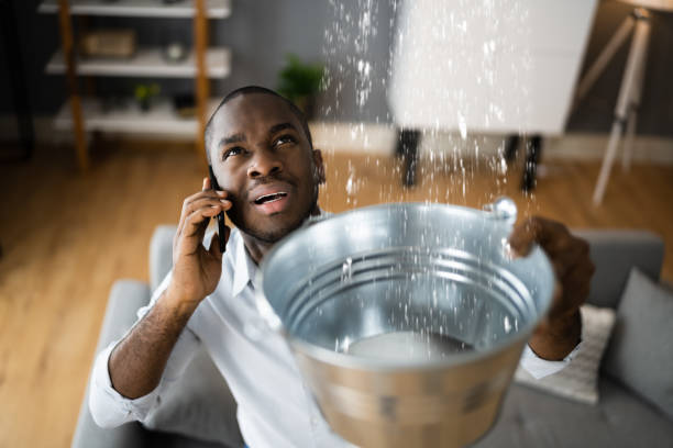 Best Basement water damage restoration  in Houma, LA