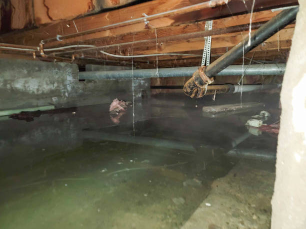 Best Water damage restoration near me  in Houma, LA