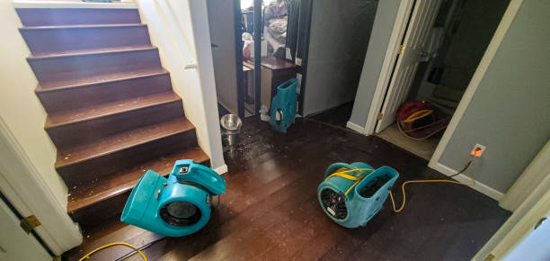 Best Water damage cleanup near me  in Houma, LA