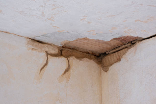 Best Residential water damage restoration  in Houma, LA