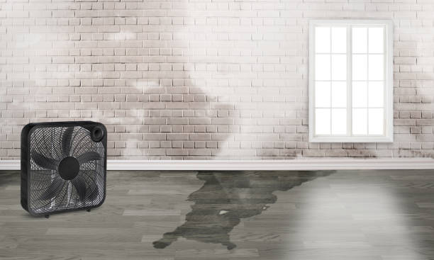 Houma, LA Water damage restoration Company