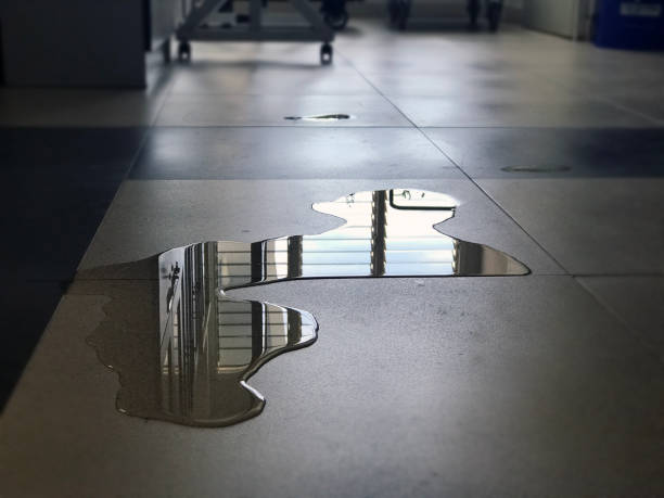 Best 24-hour water damage restoration  in Houma, LA