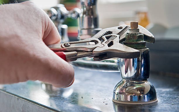 Best Mold removal after water damage  in Houma, LA
