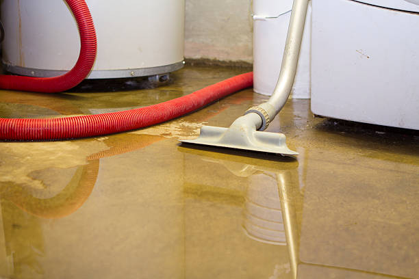 Best Water damage restoration near me  in Houma, LA