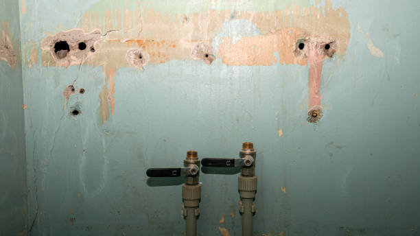 Best 24-hour water damage restoration  in Houma, LA