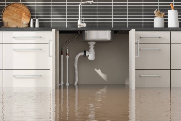 Best Professional water damage repair  in Houma, LA