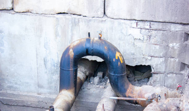 Best Flood restoration services  in Houma, LA