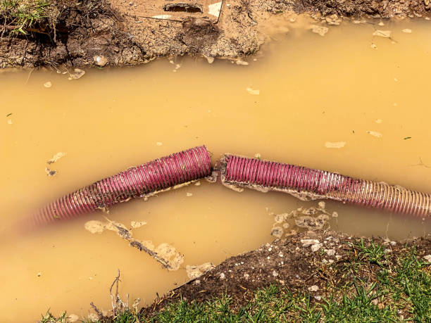 Best 24/7 water damage repair  in Houma, LA