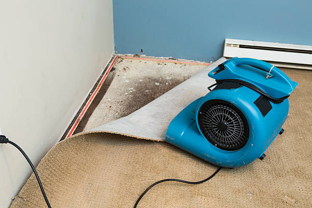 Best Water damage restoration experts  in Houma, LA